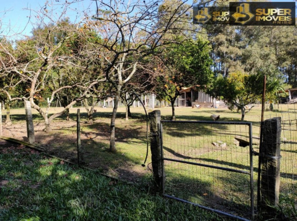 Imagem Imóvel com 5 Quartos à Venda, 4.140 m² em Centro - Capão Do Leão