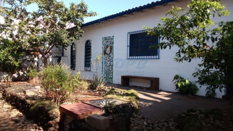 Imagem Casa para Alugar, em Jardim America - Ribeirão Preto Imagem Casa para Alugar, em Jardim America - Ribeirão Preto