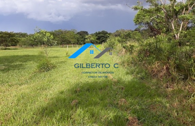 Imagem Imóvel à Venda, 7.685 m² em área Rural De Jacuba - Arealva