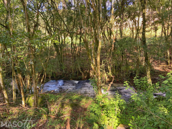 Imagem Chácara com 4 Quartos à Venda, 120.000 m² em Centro - Santa Maria Do Herval Imagem Chácara com 4 Quartos à Venda, 120.000 m² em Centro - Santa Maria Do Herval