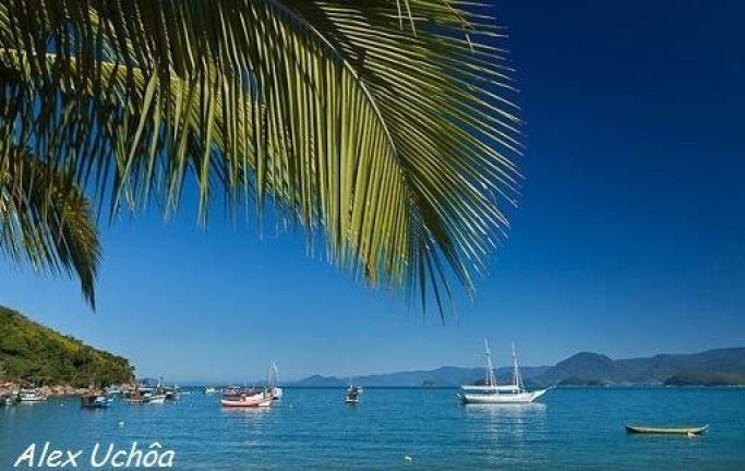 Imagem Casa com 3 Quartos à Venda, 134 m² em Picinguaba - Ubatuba Imagem Casa com 3 Quartos à Venda, 134 m² em Picinguaba - Ubatuba