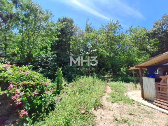 Imagem Imóvel com 4 Quartos à Venda, 110 m² em Chácara Santa Margarida - Campinas Imagem Imóvel com 4 Quartos à Venda, 110 m² em Chácara Santa Margarida - Campinas