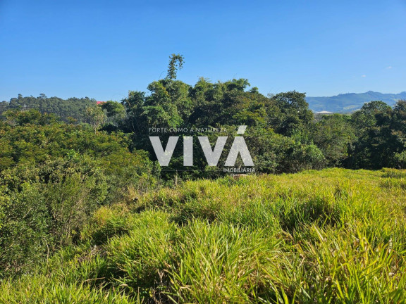 Imagem Terreno à Venda, 32 m² em Ponte Alta - Extrema