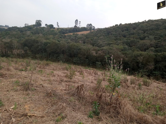 Imagem Imóvel à Venda, 96.800 m² em Colonia Marcelino - São José Dos Pinhais Imagem Imóvel à Venda, 96.800 m² em Colonia Marcelino - São José Dos Pinhais