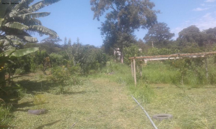 Imagem Chácara com 3 Quartos à Venda, 90 m² em Azurita - Mateus Leme Imagem Chácara com 3 Quartos à Venda, 90 m² em Azurita - Mateus Leme