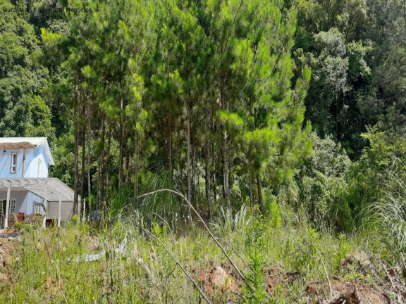 Imagem Terreno à Venda, 429 m² em Linha Imperial - Nova Petrópolis