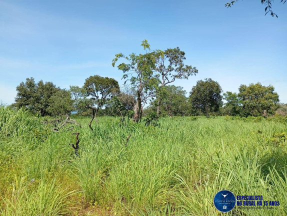 Imagem Fazenda à Venda, 60 m² em Zona Rural - Jussara Imagem Fazenda à Venda, 60 m² em Zona Rural - Jussara