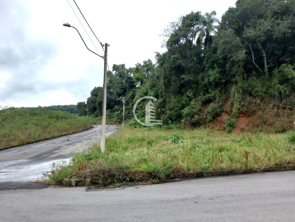Imagem Terreno à Venda, 1.977 m² em Nossa Senhora Das Graças - Caxias Do Sul Imagem Terreno à Venda, 1.977 m² em Nossa Senhora Das Graças - Caxias Do Sul