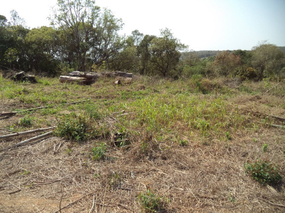 Imagem Chácara com 4 Quartos à Venda, 63.000 m² em Douradinho - Piedade Imagem Chácara com 4 Quartos à Venda, 63.000 m² em Douradinho - Piedade