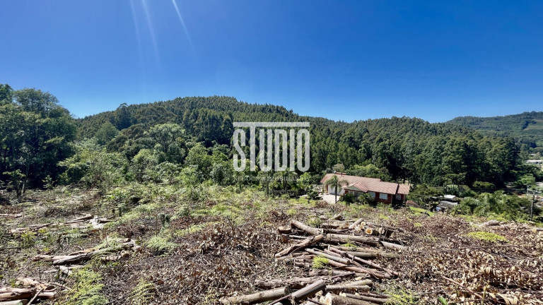 Imagem Terreno à Venda, 11.990 m² em Operário - Barão Imagem Terreno à Venda, 11.990 m² em Operário - Barão