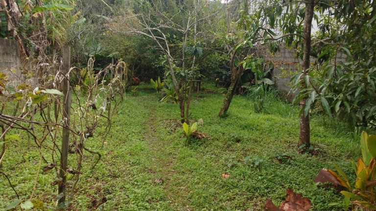 Imagem Chácara com 5 Quartos à Venda, 1.000 m² em Terra Preta - Mairiporã Imagem Chácara com 5 Quartos à Venda, 1.000 m² em Terra Preta - Mairiporã