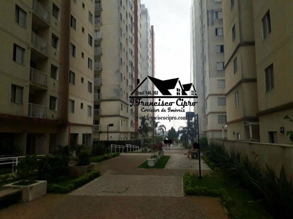 Imagem Apartamento com 3 Quartos à Venda, 67 m² em Vila Homero Thon - Santo André Imagem Apartamento com 3 Quartos à Venda, 67 m² em Vila Homero Thon - Santo André