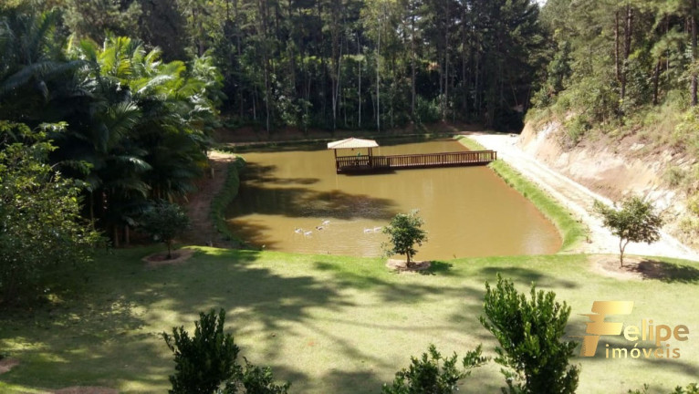 Imagem Casa com 4 Quartos à Venda, 270 m² em Domingos Martins - Domingos Martins