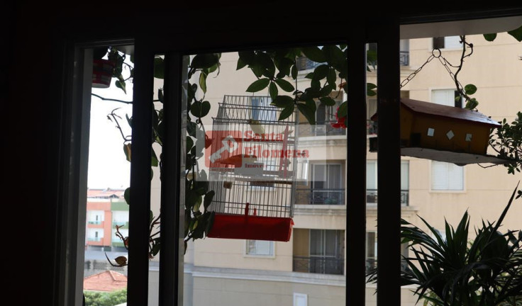 Imagem Apartamento com 2 Quartos à Venda, 62 m² em Vila Pires - Santo André Imagem Apartamento com 2 Quartos à Venda, 62 m² em Vila Pires - Santo André