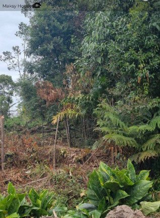 Imagem Terreno à Venda, 360 m² em Nereidas - Guaratuba Imagem Terreno à Venda, 360 m² em Nereidas - Guaratuba