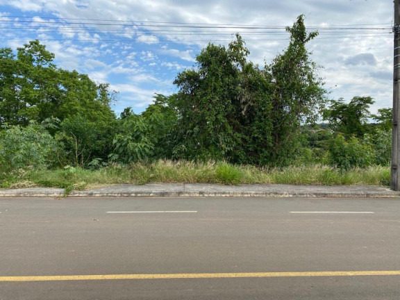Imagem Terreno à Venda, 525 m² em Jardim - Concórdia Imagem Terreno à Venda, 525 m² em Jardim - Concórdia