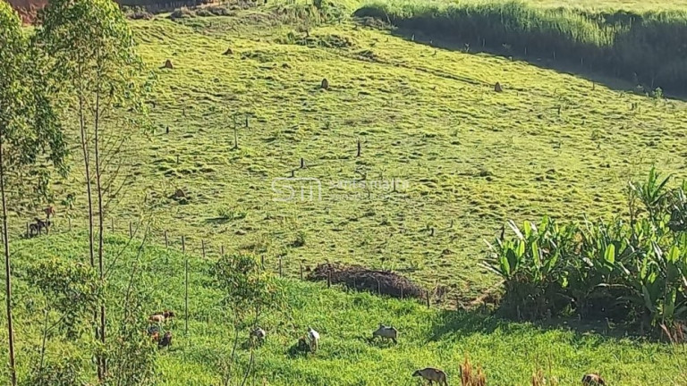 Imagem Imóvel com 2 Quartos à Venda, 280 m² em Branco - Lavrinhas Imagem Imóvel com 2 Quartos à Venda, 280 m² em Branco - Lavrinhas