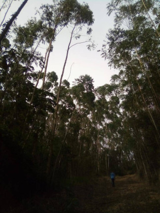 Imagem Terreno à Venda, 1 m² em Parque Santo Antônio - Jacareí Imagem Terreno à Venda, 1 m² em Parque Santo Antônio - Jacareí