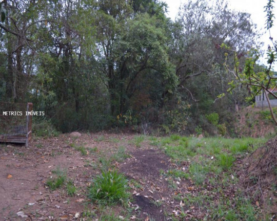 Imagem Imóvel à Venda, 5.000 m² em São José Da Pedra Santa - Jundiaí Imagem Imóvel à Venda, 5.000 m² em São José Da Pedra Santa - Jundiaí