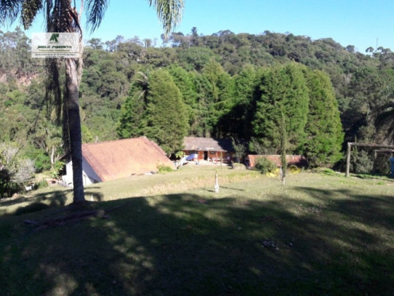 Imagem Fazenda à Venda, 198.000 m² em Vila Darci Penteado - São Roque Imagem Fazenda à Venda, 198.000 m² em Vila Darci Penteado - São Roque