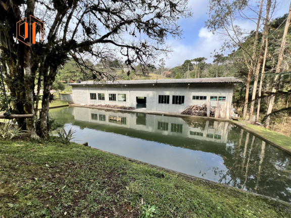 Imagem Imóvel à Venda, 4.000 m² em Borda Do Campo - São José Dos Pinhais Imagem Imóvel à Venda, 4.000 m² em Borda Do Campo - São José Dos Pinhais