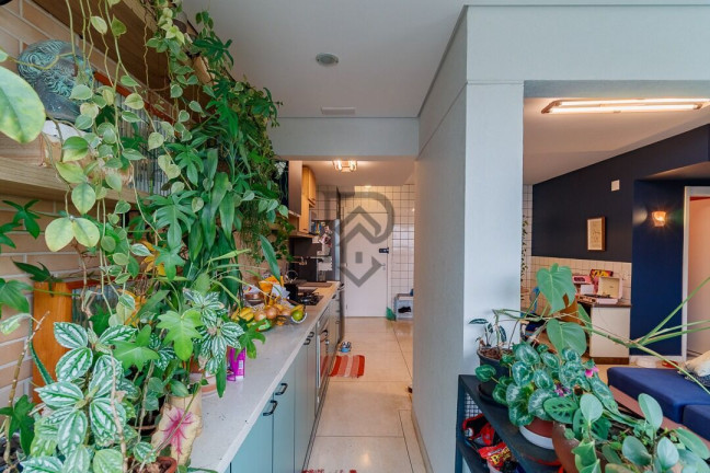 Imagem Apartamento com 2 Quartos à Venda, 72 m² em Pinheiros - São Paulo Imagem Apartamento com 2 Quartos à Venda, 72 m² em Pinheiros - São Paulo
