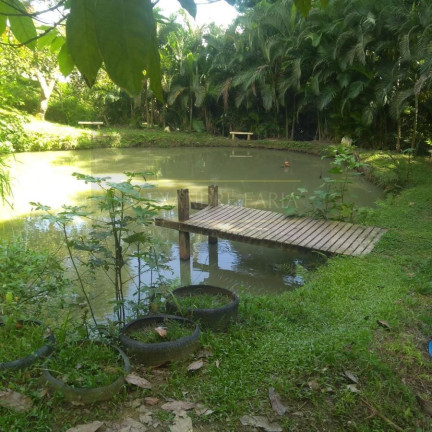 Imagem Chácara com 3 Quartos à Venda, 2.000 m² em Enseada - São Sebastião Imagem Chácara com 3 Quartos à Venda, 2.000 m² em Enseada - São Sebastião
