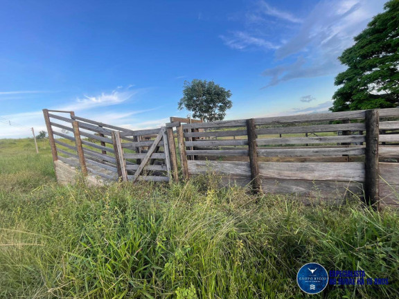 Imagem Chácara à Venda, 10 m² em Zona Rural - Goiás Imagem Chácara à Venda, 10 m² em Zona Rural - Goiás