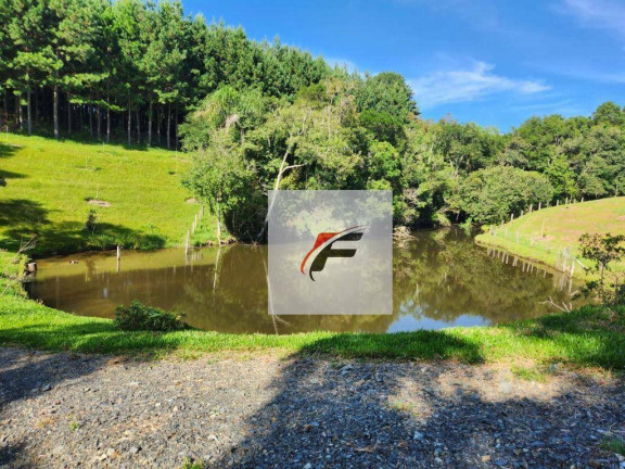 Imagem Chácara com 3 Quartos à Venda, 305.000 m² em Zona Rural - Tijucas Do Sul