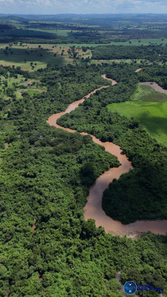 Imagem Fazenda à Venda, 30 m² em Zona Rural - Guapó Imagem Fazenda à Venda, 30 m² em Zona Rural - Guapó