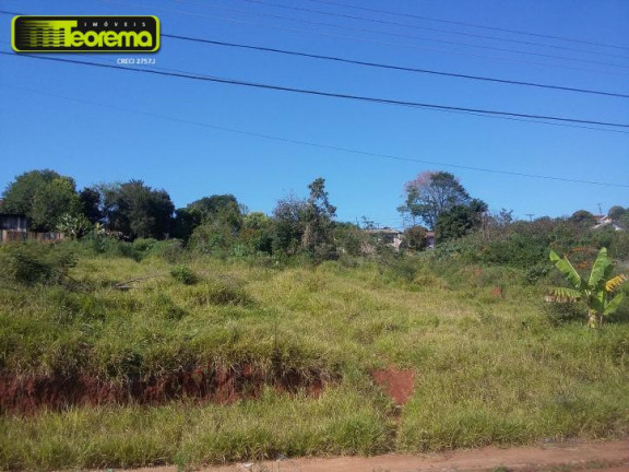 Terreno à Venda, 444 m² em Parque Limeira área Vii - Telêmaco Borba