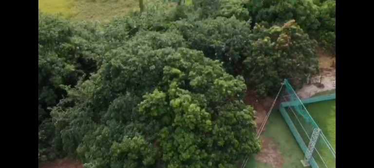 Imagem Chácara com 5 Quartos à Venda, 20.000 m² em São Simão - Várzea Grande Imagem Chácara com 5 Quartos à Venda, 20.000 m² em São Simão - Várzea Grande