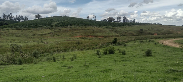 Imagem Fazenda à Venda, 150 m² em Centro - Conceição Do Rio Verde Imagem Fazenda à Venda, 150 m² em Centro - Conceição Do Rio Verde