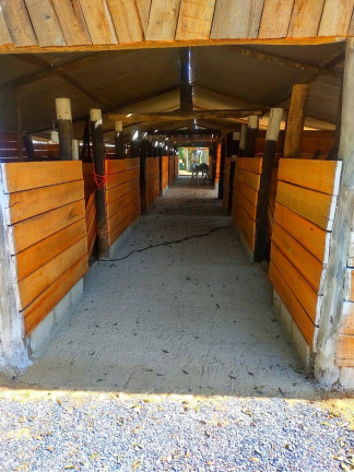 Imagem Chácara com 5 Quartos à Venda, 24.000 m² em Congonhas - Sarapuí Imagem Chácara com 5 Quartos à Venda, 24.000 m² em Congonhas - Sarapuí