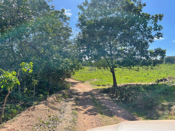 Imagem Chácara à Venda, 12 m² em Zona Rural - Vianópolis Imagem Chácara à Venda, 12 m² em Zona Rural - Vianópolis