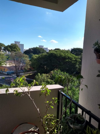 Imagem Imóvel com 3 Quartos à Venda, 71 m² em Vila Firmiano Pinto - São Paulo