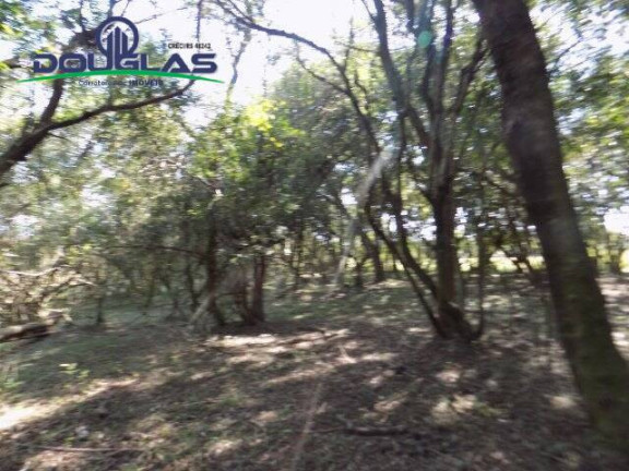 Imagem Chácara à Venda, 20.000 m² em águas Claras - Viamão