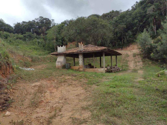 Imagem Imóvel à Venda, 33.000 m² em Itaqui De Cima - Campo Largo Imagem Imóvel à Venda, 33.000 m² em Itaqui De Cima - Campo Largo