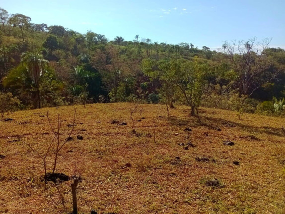 Imagem Fazenda à Venda, 12 m² em Zona Rural - Padre Bernardo Imagem Fazenda à Venda, 12 m² em Zona Rural - Padre Bernardo