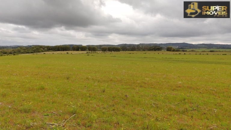 Imóvel com 3 Quartos à Venda, 660.000 m² em Zona Rural - Capão Do Leão