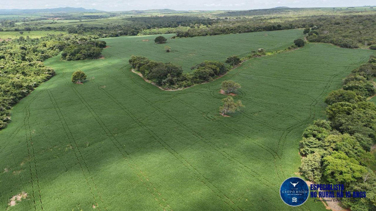 Imagem Fazenda à Venda, 39 m² em Zona Rural - Goianésia Imagem Fazenda à Venda, 39 m² em Zona Rural - Goianésia