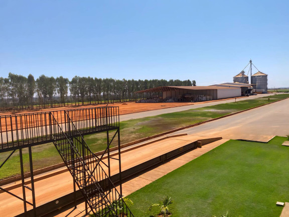 Imagem Fazenda à Venda, 8.000 m² em Cuiabá Imagem Fazenda à Venda, 8.000 m² em Cuiabá
