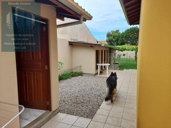 Imagem Casa com 3 Quartos à Venda, 106 m² em São João Do Rio Vermelho - Florianópolis Imagem Casa com 3 Quartos à Venda, 106 m² em São João Do Rio Vermelho - Florianópolis