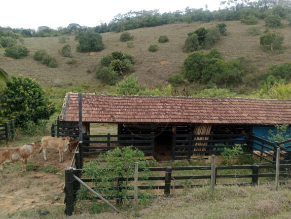 Imagem Chácara com 4 Quartos à Venda, 100 m² em Capim D\'agola - Paraibuna