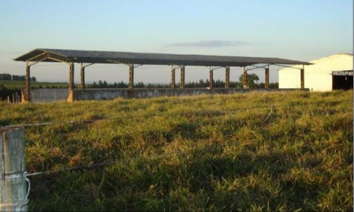 Imagem Fazenda à Venda, 98 m² em Serra De Botucatu - Bofete Imagem Fazenda à Venda, 98 m² em Serra De Botucatu - Bofete