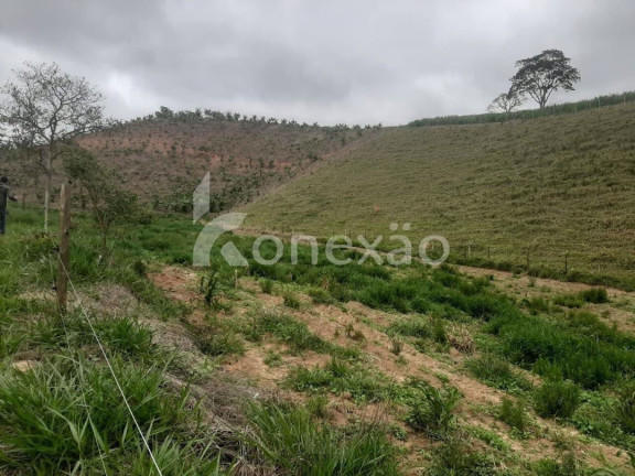 Imagem Fazenda à Venda, 90 m² em Itapeva - Paraibuna Imagem Fazenda à Venda, 90 m² em Itapeva - Paraibuna