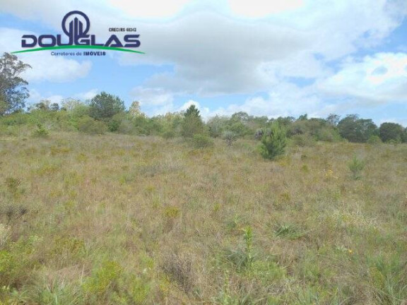 Imagem Imóvel Comercial à Venda, 3.640 m² em Morro Grande - Viamão