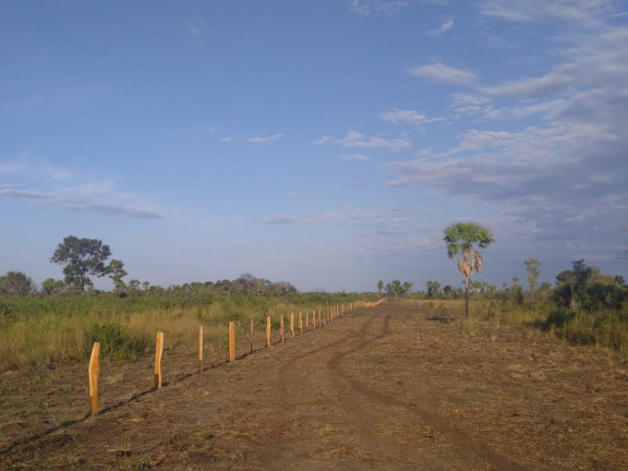 Imagem Fazenda à Venda, 2.050 m² em Rural - Rio Verde De Mato Grosso