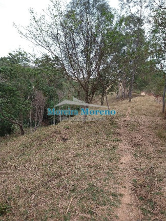 Imagem Imóvel à Venda, 5 m² em Zona Rural - Borda Da Mata Imagem Imóvel à Venda, 5 m² em Zona Rural - Borda Da Mata