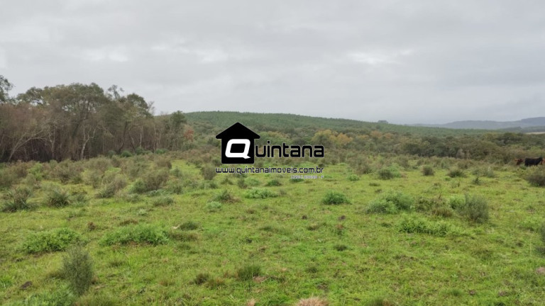 Imagem Imóvel com 2 Quartos à Venda, 600.000 m² em 5º Distrito - Canguçu Imagem Imóvel com 2 Quartos à Venda, 600.000 m² em 5º Distrito - Canguçu